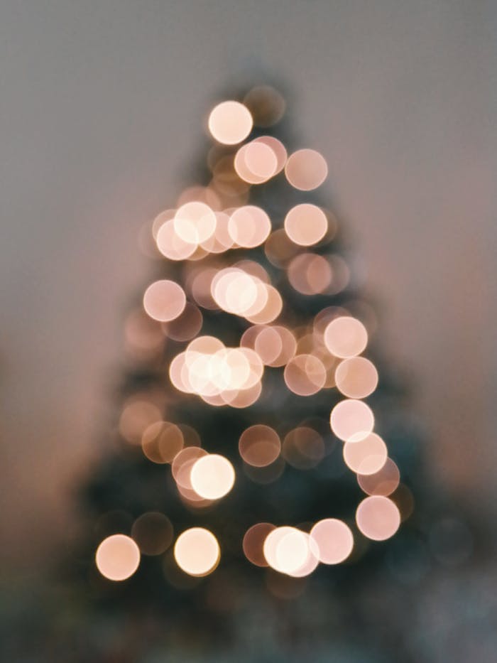 gallery-2 Soft focus of a Christmas tree showcasing warm bokeh light circles, creating a festive and cozy atmosphere.