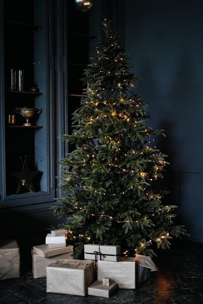 our-experience Tall green Christmas tree decorated with small glowing garlands and surrounded by shelves and bunch of boxes with gifts in dark room